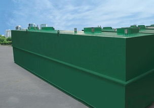 大蒜加工污水回用專用設(shè)備